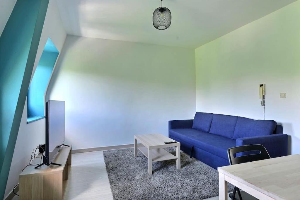 Appartement Charmant Tres Proche Centre-Ville, Parking Gratuits, Mulhouse Centre Екстер'єр фото