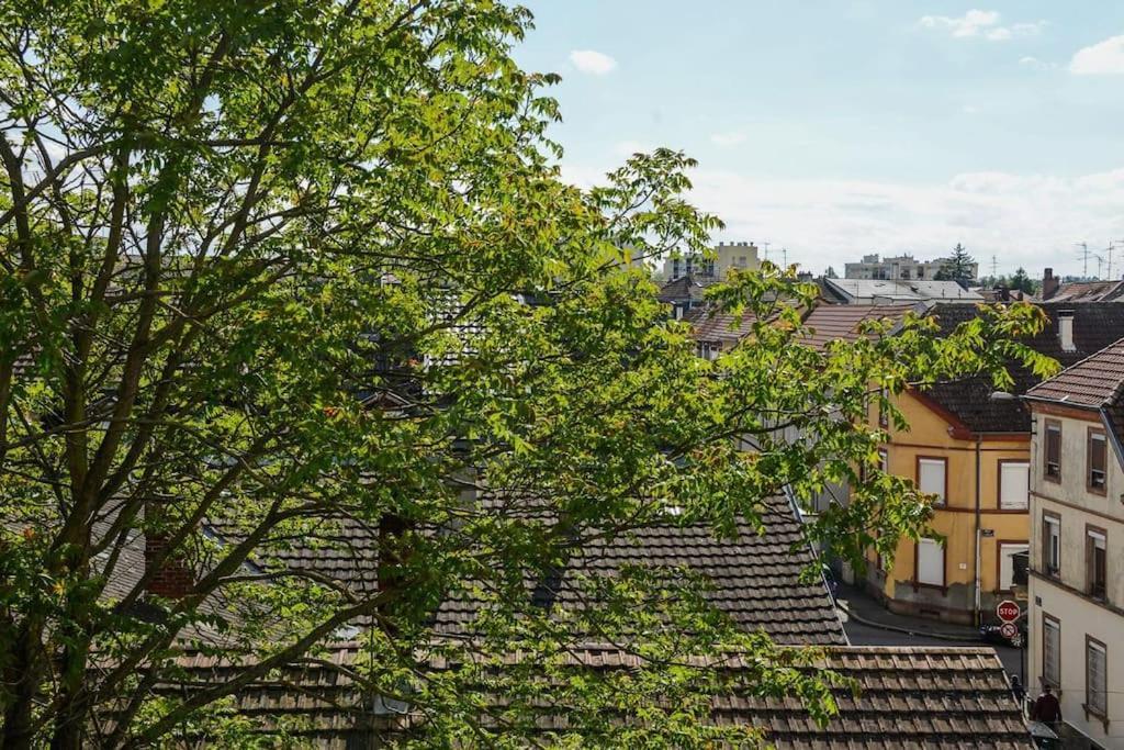 Appartement Charmant Tres Proche Centre-Ville, Parking Gratuits, Mulhouse Centre Екстер'єр фото